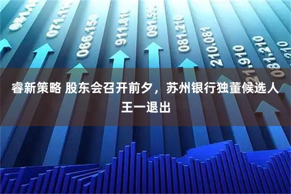 睿新策略 股东会召开前夕，苏州银行独董候选人王一退出